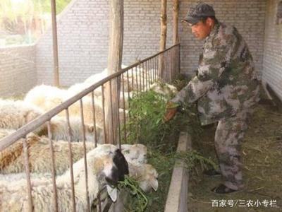 關于2019年1月1日起全面禁止農民養(yǎng)家禽家畜的真相